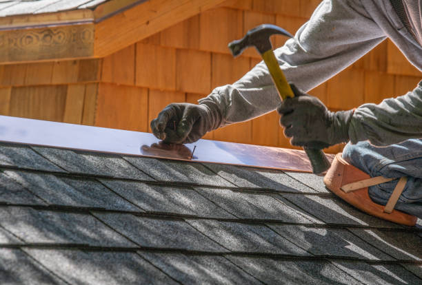 Reliable Citrus Park, AZ  Roofing repair and installation Solutions